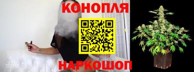 прущие грибы Пугачёв